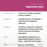 Фуксия полуампельная Hollys Beauty (0,1л) — параметры сорта