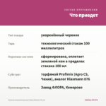Фуксия полуампельная Hollys Beauty (0,1л) — что приедет