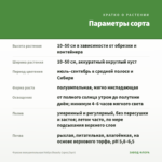 Фуксия полуампельная Hollys Beauty (срез/3шт) — параметры сорта