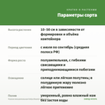 Фуксия полуампельная Hollys Beauty (срез/3шт) — параметры сорта