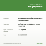 Фуксия полуампельная Hollys Beauty (срез/3шт) — как укоренить черенок