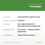 Фуксия полуампельная Hollys Beauty (срез/3шт) — что приедет