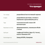 Фуксия полуампельная Kelly Torfs (0,1л) — что приедет