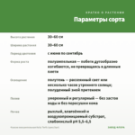 Фуксия полуампельная Kelly Torfs (срез/3шт) — параметры сорта