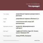 Фуксия полуампельная Natasha Sinton (0,1л) — что приедет