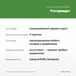 Фуксия полуампельная Natasha Sinton (срез/3шт) — что приедет