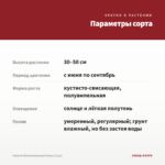 Фуксия Полуампельная Peachy (0,1л) — параметры сорта