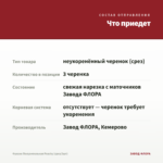 Фуксия Полуампельная Peachy (срез/3шт) — что приедет