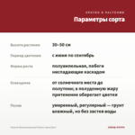 Фуксия Полуампельная Peachy (срез/3шт) — параметры сорта