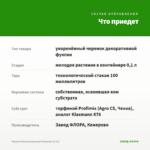 Фуксия Полуампельная Рromessa (0,1л) — что приедет