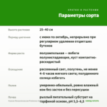 Фуксия Полуампельная Рromessa (0,1л) — параметры сорта