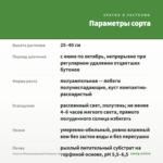 Фуксия Полуампельная Рromessa (срез/3шт) — параметры сорта