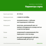 Фуксия Полуампельная Рromessa (срез/3шт) — параметры сорта