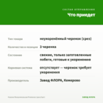 Фуксия Полуампельная Рromessa (срез/3шт) — что приедет