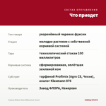 Фуксия Rohees New Millennium (0,1л) — что приедет