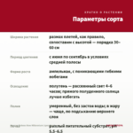 Фуксия Rohees New Millennium (срез/3шт) — параметры сорта