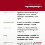 Фуксия Veenlust (срез/3шт) — параметры сорта