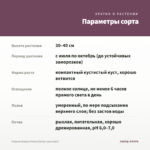 Георгин Dalaya Meena Zarina (срез/3шт) — параметры сорта