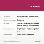 Георгины Cherie Abstract Raspberry (срезы/3шт) — что приедет