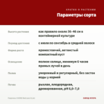 Георгины CHERIE Red Lace (0,1л) — параметры сорта