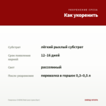 Георгины CHERIE Red Lace (срез/3шт) — как укоренить черенок