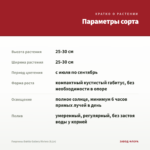 Георгины Dahila Gallery Riviera (0,1л) — параметры сорта