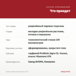 Георгины Dahila Gallery Riviera (0,1л) — что приедет