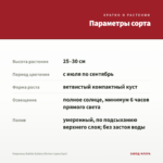 Георгины Dahila Gallery Riviera (срез/3шт) — параметры сорта