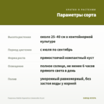 Георгины Dahlia Hypnotica Limoncello (0,1л) — параметры сорта