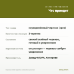 Георгины Dahlia Hypnotica Limoncello (срез/3 шт) — что приедет