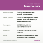 Георгины Dahlia Labella Grande Pink (0,1) — параметры сорта