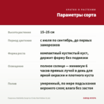 Георгины Dahlietta Surprise Cindy Red-Yellow (0,1л) — параметры сорта