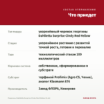 Георгины Dahlietta Surprise Cindy Red-Yellow (0,1л) — что приедет