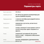 Георгины Dahlietta Surprise Cindy Red-Yellow (0,1л) — параметры сорта