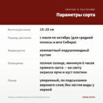 Георгины Dahlietta Surprise Demi Pink Bicolor (0,1л) — параметры сорта