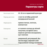 Георгины Dahlietta Surprise Leanne (0,1л) — параметры сорта