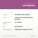 Георгины Dahlietta Surprise Louise (срез/3шт) — как укоренить черенок