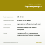 Георгины Dahlinova Montana (срез/3 шт) — параметры сорта