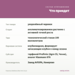 Георгины Dahlinova New York (0,1л) — что приедет