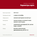 Георгины Dalaya Krishna (0,1л) — параметры сорта
