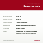 Георгины Dalaya Krishna (0,1л) — параметры сорта