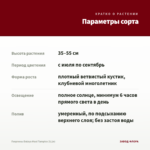 Георгины Dalaya Maxi Tampico (0,1л) — параметры сорта