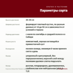 Георгины Dalaya Maxi Tampico (срез/3шт) — параметры сорта