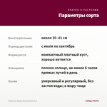 Георгины Dalaya Meena Amal (0,1) — параметры сорта