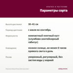 Георгины Dalaya Meena Amal (срез/3шт) — параметры сорта