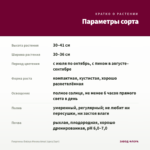 Георгины Dalaya Meena Amal (срез/3шт) — параметры сорта