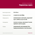 Георгины Dalaya Meena Desna (0,1л) — параметры сорта