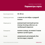 Георгины Dalaya Meena Desna (срез/3шт) — параметры сорта