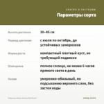 Георгины Dalaya Meena Kala (0,1л) — параметры сорта