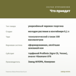 Георгины Dalaya Meena Kala (0,1л) — что приедет
